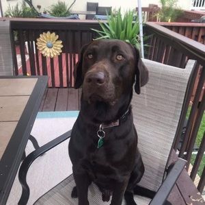 Meet your Posher, Marie